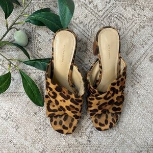 14th & Union Leopard Print Block Heel Mule